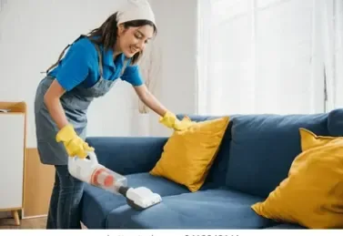 Upholstery Cleaning illustration