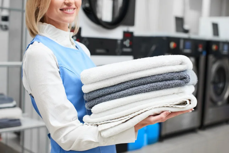 Wash & Fold illustration